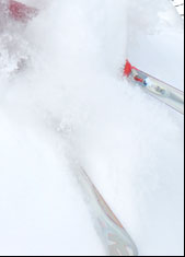 banff heli skiing